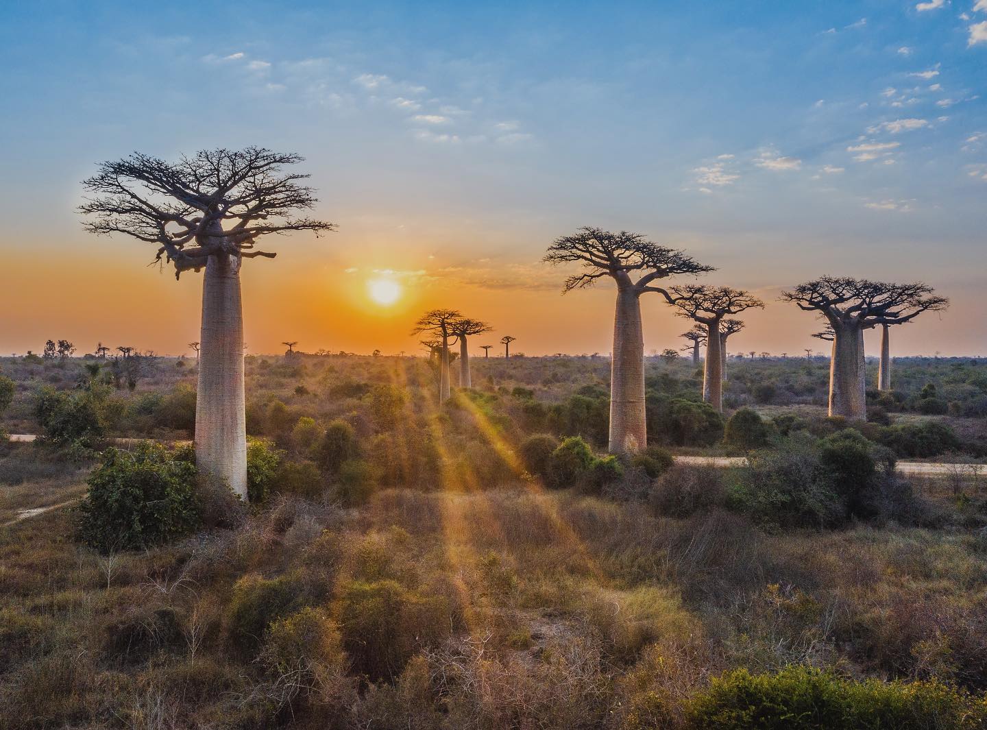 Sunset over the Avenue of the Baobabs, Madagascar
