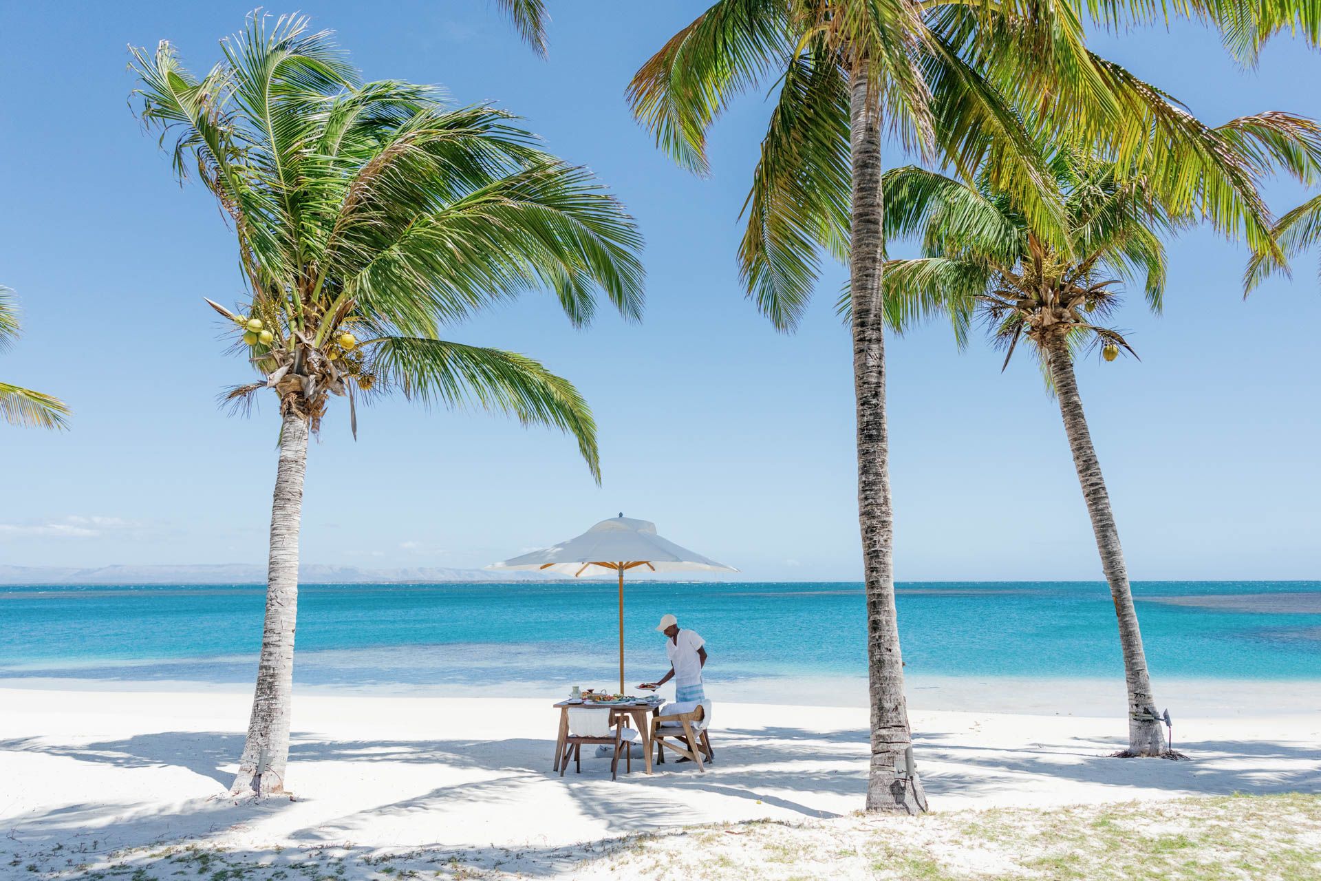 A private beach picnic set beneath palm trees, Madagascar