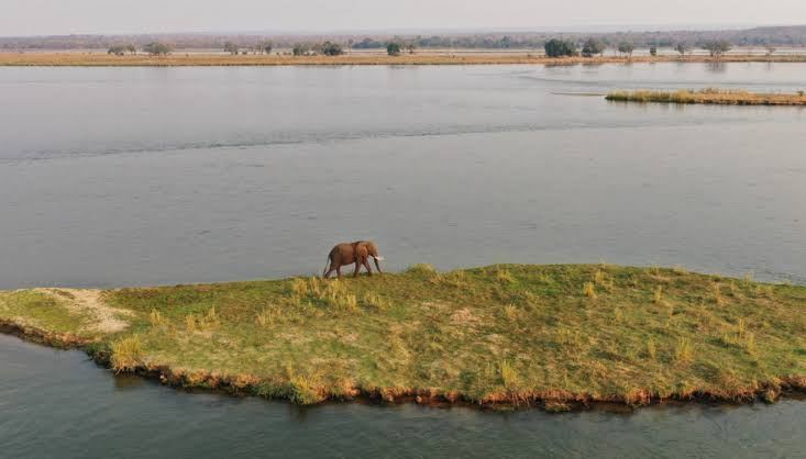 An elephant crossing a river island on the Zambezi, Mana Pools