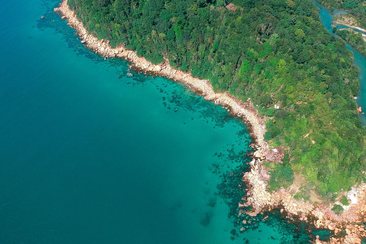 Aerial view of Lake Malawi's clear turquoise water meeting a forested rocky coastline