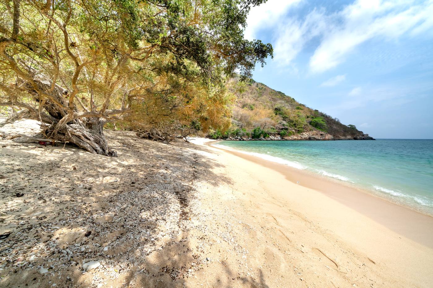 A quiet, untouched beach cove on Lake Malawi shaded by coastal trees
