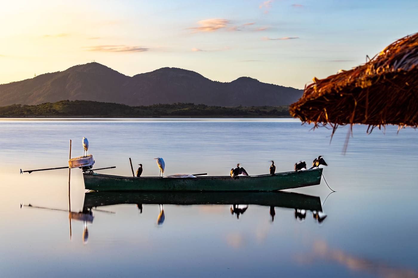 Cormorants and an egret resting on a fishing boat at dawn on Lake Malawi