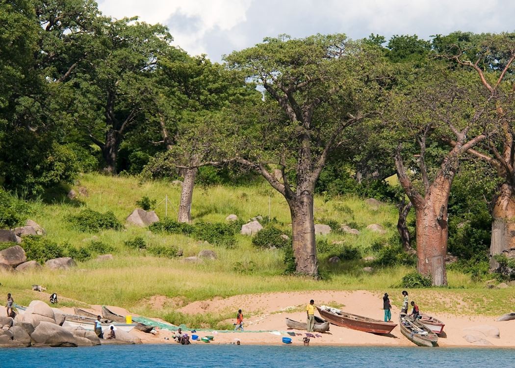 Local fishermen mending nets beside dugout canoes on a Lake Malawi beach lined with baobab trees