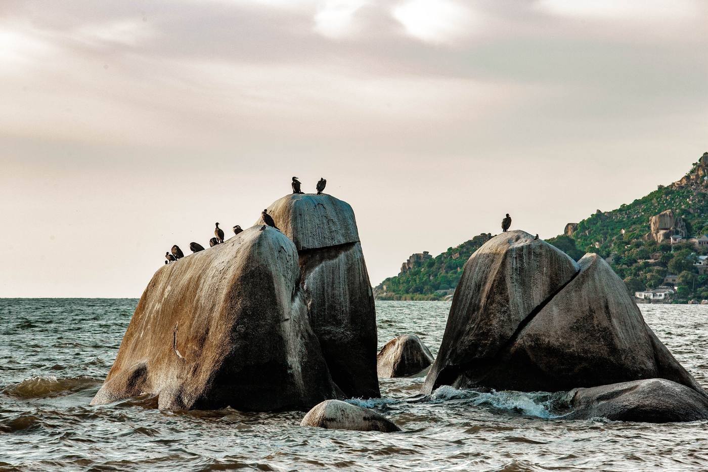 Cormorants perched on granite boulders rising from Lake Malawi, with green hills behind