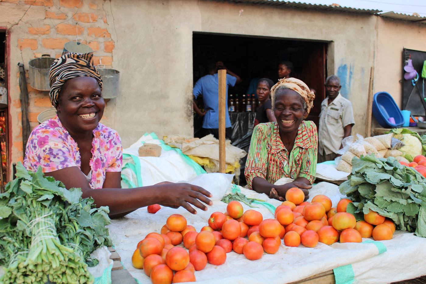 Local women selling tomatoes and greens at a village market near Lake Malawi, part of a private cultural village tour